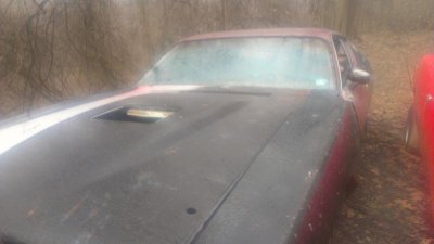 IMAG0181.jpg IMAG0181.jpg