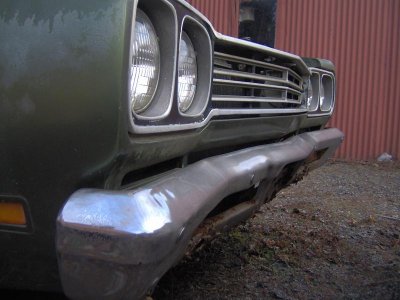 roadrunner 002.jpg roadrunner 002.jpg