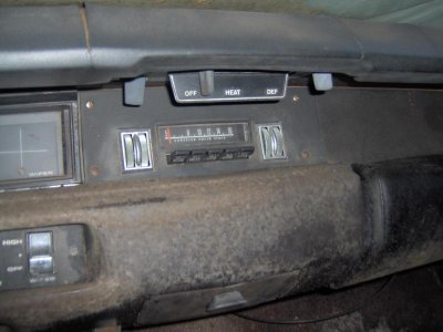 roadrunner 006.jpg roadrunner 006.jpg