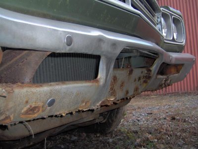 roadrunner 003.jpg roadrunner 003.jpg