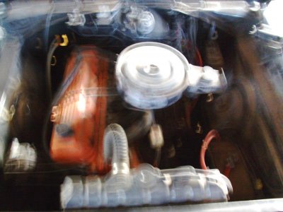 PICT7048.jpg PICT7048.jpg