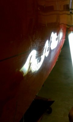 IMAG0543.jpg