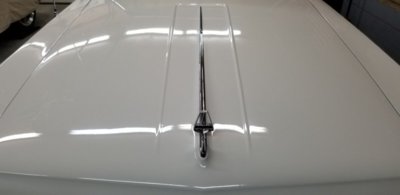 20191107_172738.jpg 20191107_172738.jpg