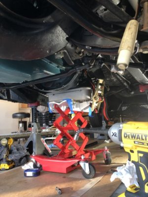 CE152A30-4C84-48A6-87EA-05F3450B0B25.jpeg CE152A30-4C84-48A6-87EA-05F3450B0B25.jpeg