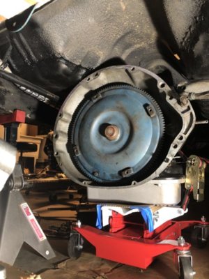 98A43CE4-EFB0-4705-A5CC-4921CF4C4D6B.jpeg 98A43CE4-EFB0-4705-A5CC-4921CF4C4D6B.jpeg