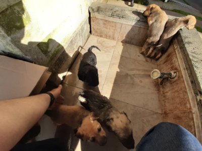 20191109_092650.jpg 20191109_092650.jpg