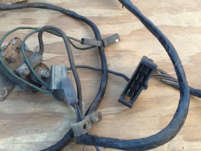 image.jpeg image.jpeg