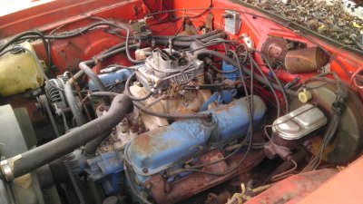 IMAG0333.jpg IMAG0333.jpg