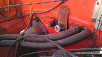 IMAG0407.jpg IMAG0407.jpg