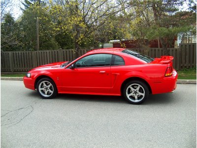 performance_red_2001_mustang_svt_cobra_2-800-600-1.jpg