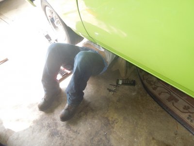 viper back inDSCN63800102.JPG