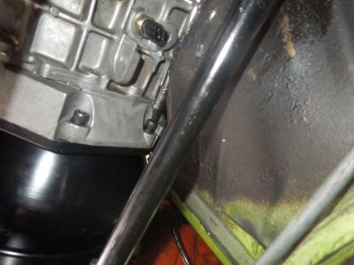 viper back inDSCN63800112.JPG