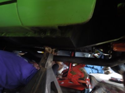 viper back inDSCN63800117.JPG