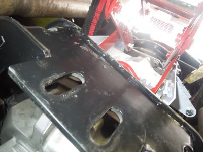 viper back inDSCN63800123.JPG