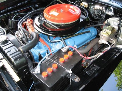 IMG_0287 (Large).jpg IMG_0287 (Large).jpg