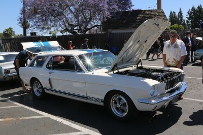 103324035.jpg 103324035.jpg