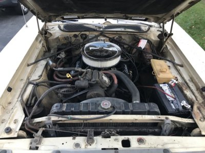 8BE20E69-0D09-4571-9F24-D6A74F3F8374.jpeg 8BE20E69-0D09-4571-9F24-D6A74F3F8374.jpeg