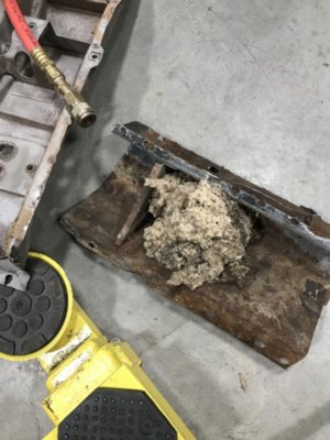 57DB312B-F732-4613-9C0D-2F4AF75159A0.jpeg 57DB312B-F732-4613-9C0D-2F4AF75159A0.jpeg