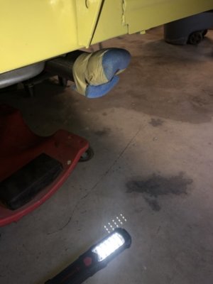 AA854890-09B6-4023-A214-9FE944808DA6.jpeg AA854890-09B6-4023-A214-9FE944808DA6.jpeg