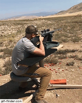 tumblr_5620b7370d0039f363315af9a5b514e1_ab145007_400.gif