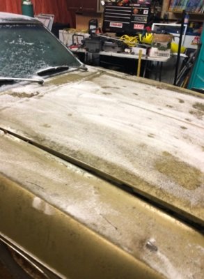 75332813_538869216913299_4174497526386262016_n.jpg 75332813_538869216913299_4174497526386262016_n.jpg