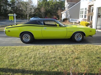 71bee142 (Large).JPG 71bee142 (Large).JPG