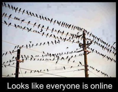 9a4b8af1efe4069cf4c9365b94bc2fe8.jpg 9a4b8af1efe4069cf4c9365b94bc2fe8.jpg