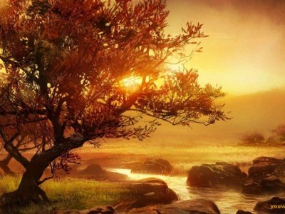 Peaceful sunset Wallpaper__yvt2.jpg