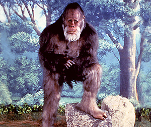 harry-y-los-henderson02.jpg harry-y-los-henderson02.jpg