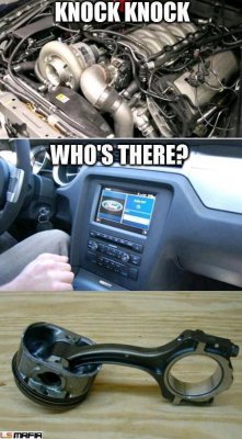 313457_441345925941730_1347844793_n.jpg