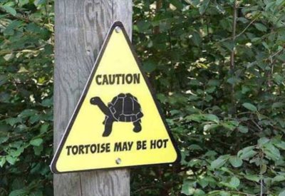 funny-zoo-signs-18.jpg