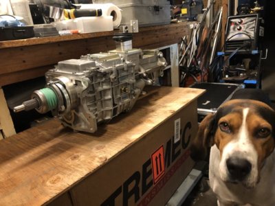 8C5FD00E-E6D3-4E01-BD37-03065015A482.jpeg 8C5FD00E-E6D3-4E01-BD37-03065015A482.jpeg