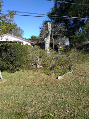 IMG_20191231_104404169.jpg IMG_20191231_104404169.jpg