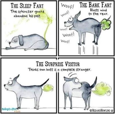 6a839d15c3b9780e304eee77c8fda874.jpg 6a839d15c3b9780e304eee77c8fda874.jpg