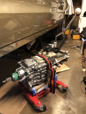 89D95D8B-D84B-46AE-9606-64C9C4143892.jpeg 89D95D8B-D84B-46AE-9606-64C9C4143892.jpeg