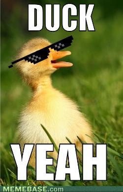DUCK-YEA.jpg