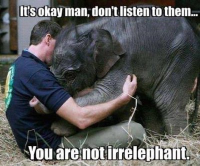 12 - Irrelephant.jpg