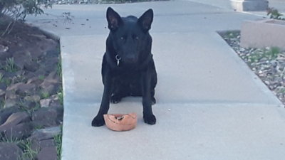 20200112_081245.jpg 20200112_081245.jpg