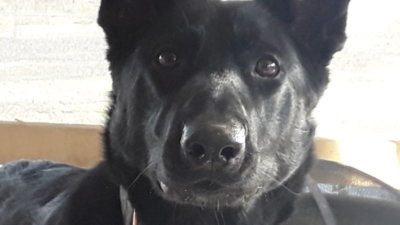 20200112_081112.jpg 20200112_081112.jpg