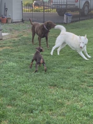 52784C22-6105-4FF6-903D-FB8231C495F6.jpeg 52784C22-6105-4FF6-903D-FB8231C495F6.jpeg