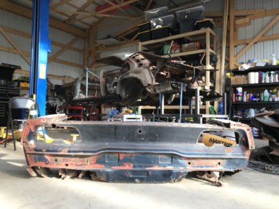 9B2F62F5-9022-4144-A865-428340A47C35.jpeg 9B2F62F5-9022-4144-A865-428340A47C35.jpeg