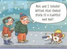 cartoon_cold.jpg cartoon_cold.jpg