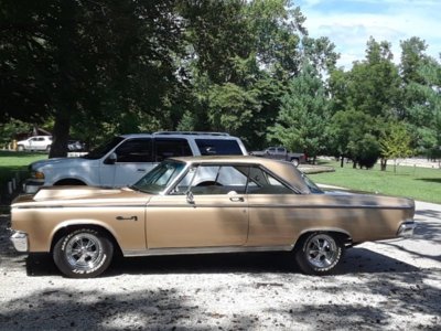 side view in park.jpeg side view in park.jpeg