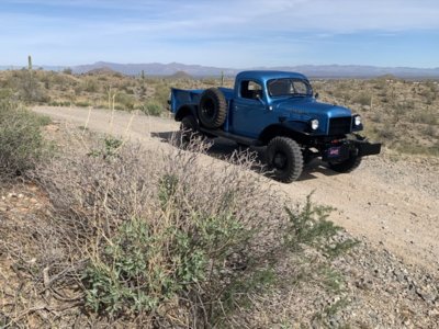 IMG_2383.jpeg IMG_2383.jpeg