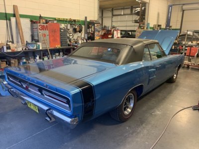 IMG_2599.jpeg IMG_2599.jpeg