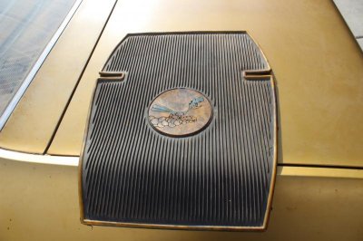 new camera 20130323 245.jpg