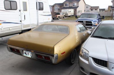 new camera 20130323 208.jpg