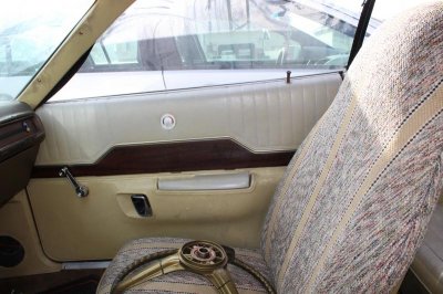 new camera 20130323 230.jpg