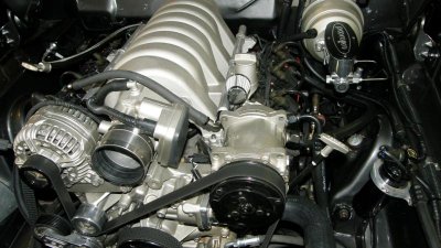 3-3-2013 023.jpg