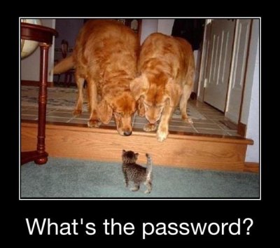 !cid_904B6A59684149B49C43E4DFE36ACC42@GrinnellsPC.jpg